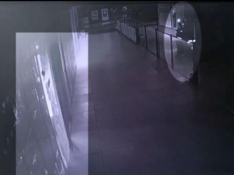 128 Organize Suç Örgütü Üyesi Yakalandı