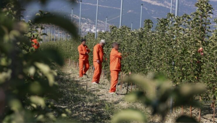 Ceza Evlerinde 200 meslek dalında üretim yapılıyor