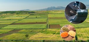 Tarım destek ödemeleri çiftçilerin hesaplarına aktarıldı