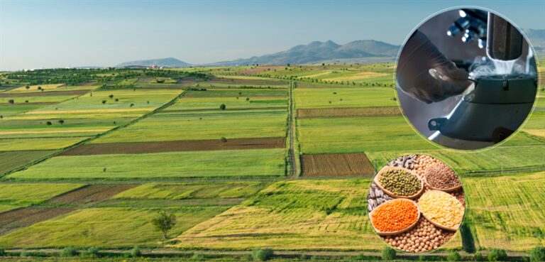 Tarım destek ödemeleri çiftçilerin hesaplarına aktarıldı