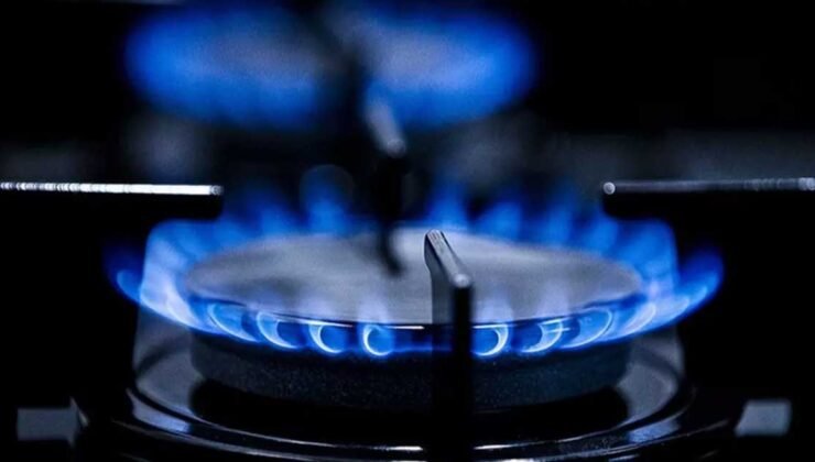 Türkiye'nin doğal gaz ağı genişliyor: 913 yerleşim yeri