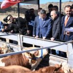 2028'den itibaren kırmızı et ithalatı sona erecek