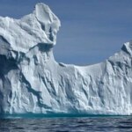 Dev buzdağı karaya oturdu: Ekosistem için tehdit mi, fırsat mı?
