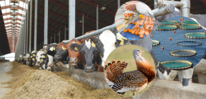 Tarım Bakanlığı tarımsal hibe desteği verecek