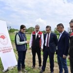 17 Bin Kuşkonmaz Fidesi Üreticilere Teslim Edildi