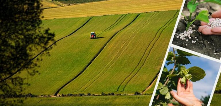 Çiftçilere Bakanlıktan Müjde