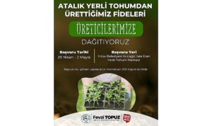 Milas Belediyesi Ata Tohumlarını Yaşatmak Amacıyla Sebze Fidesi Dağıtımı Gerçekleştirecek