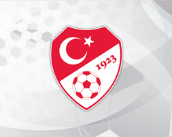 Profesyonel Liglerdeki Takım Sayıları Azaltılacak