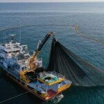 Su ürünleri avcılığında yeni dönem: Kurallar güncellendi