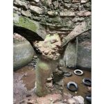 300 yıllık sarnıç özgün yapısıyla yeniden hayat bulacak