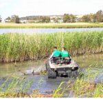 Aliağa Belediyesi’nden Haşerelere Karşı Yoğun Mücadele