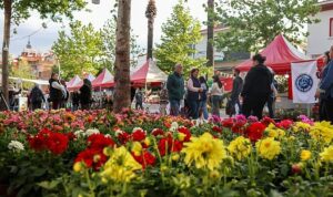 Bayındır 26. Uluslararası Çiçek Festivali’nin ilk Günü Dolu Dolu Geçti