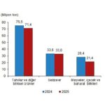 Bitkisel Üretim 1.Tahmini, 2025