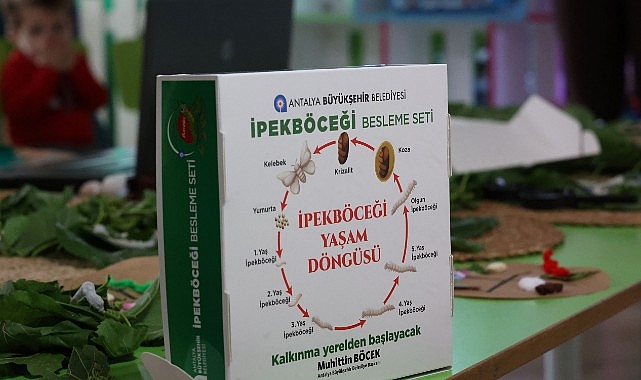 Büyükşehir çocukları ipekböceği ile tanıştırıyor