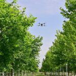 Büyükşehir, haşereyle mücadeleye aralıksız devam ediyor