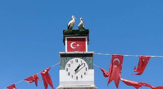 Can ve Canan Leylek Yuvalarına Geldi