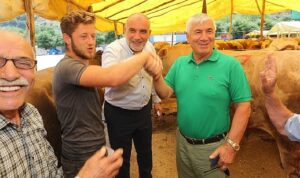 Canik’te Kurbanlıklar Görücüye Çıktı