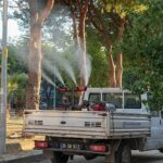 Gaziemir’de sivrisineklere karşı ilaçlama çalışmaları hız kazandı