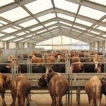 İBB’den Kurban Bayramı İçin 4 Modern Tesis