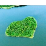 ING’nin iklim hedefleri, Bilimsel Tabanlı Hedefler Girişimi (SBTi) tarafından doğrulandı