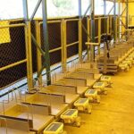 İstanbul Kurban Bayramı’na hazırlanıyor