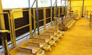 İstanbul Kurban Bayramı’na hazırlanıyor