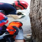 İzmir İtfaiyesi havalandırma bacasına sıkışan kediyi kurtardı