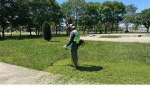 Kartepe’de Yeşil Alanlara Düzenli Bakım