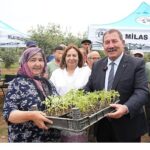 Milas Belediyesi, ata tohumlarını yaşatmak için üreticilere fide dağıtımı gerçekleştirdi