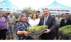 Milas Belediyesi, ata tohumlarını yaşatmak için üreticilere fide dağıtımı gerçekleştirdi
