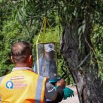 Sarısu Kadınlar Plajı 1 Haziran’da açılıyor