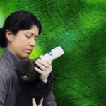 ‘Tampa’nın Sırları: Vahşi Taraf’, 5 Mayıs Pazartesi Günü 20.00’de National Geographic WILD Ekranlarında!