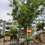 Buca Belediyesi kadına şiddete karşı mücadele veren avukatlara destek verdi