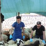 Buca’da Kurban Bayramı öncesi sıkı denetim