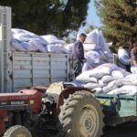 Büyükşehir’den yem desteğiyle süt üretimine güçlü katkı
