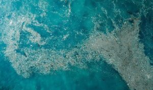 Doğayla Uyumlu Yaşamalıyız: Plastik Kirliliğine Son Ver, Yaşamı Koru!