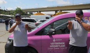 İBB boğa timi görev başında