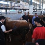 İnegöl Modern Hayvan Pazarı Beşinci Kez Bayram Sevinci Yaşattı