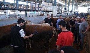 İnegöl Modern Hayvan Pazarı Beşinci Kez Bayram Sevinci Yaşattı