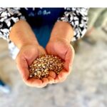Köylünün toprağına, Urla’nın börülcesine sahip çıkıyoruz