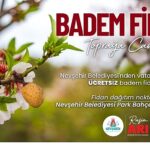 Nevşehir Belediyesi’nden Ücretsiz Badem Fidanı Dağıtımı