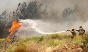 OGM’den Kurban Bayramı Öncesi Yangın Uyarısı