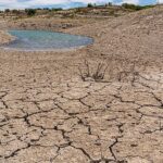 TEMA Vakfı: Toprağı İyileştirmek, Doğayı ve Geleceği Korumaktır