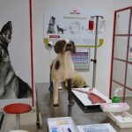 Uludağ Üniversitesi Klinik Beceri Laboratuvarı Açıldı