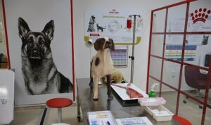 Uludağ Üniversitesi Klinik Beceri Laboratuvarı Açıldı