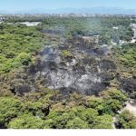 Antalya Büyükşehir Belediyesi İtfaiyesi alevlerle mücadelesini sürdürüyor