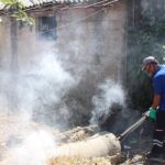 Antalya’nın tüm ilçelerinde haşereyle mücadele sürüyor