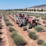 Başkan Altay: “Her Zaman Üreten, Çalışan ve Bu Ülkeye Katkı Sağlayan Üreticimizin Yanında Olacağız”