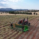 Başkan Altay: “Kuraklığa Dayanıklı Bitki Destekleriyle Çiftçimize Yeni Fırsatlar Sunuyoruz”