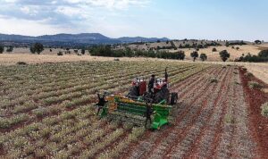 Başkan Altay: “Kuraklığa Dayanıklı Bitki Destekleriyle Çiftçimize Yeni Fırsatlar Sunuyoruz”